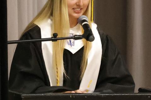 Article Image Alt Text