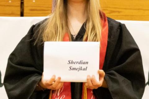 Article Image Alt Text