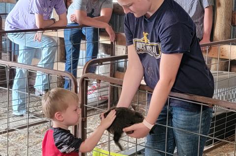 Article Image Alt Text