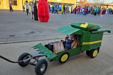 Article Image Alt Text