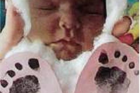 Article Image Alt Text