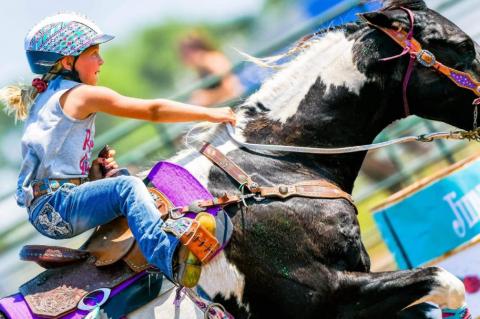 Article Image Alt Text