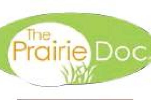 WHY ARE RURAL NURSING HOMES CLOSING?