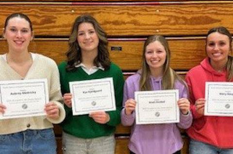 Article Image Alt Text