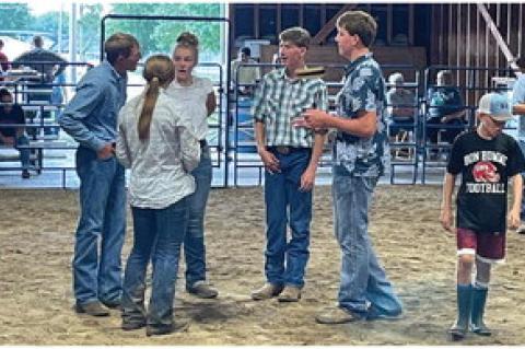 4-H ACHIEVEMENT DAYS HELD
