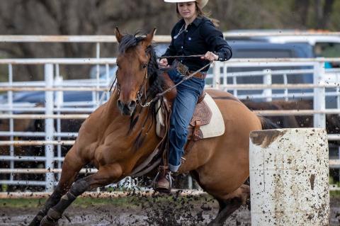 Article Image Alt Text