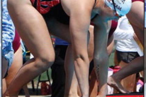 Article Image Alt Text