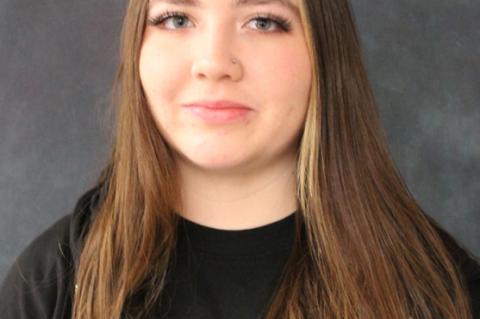 Article Image Alt Text