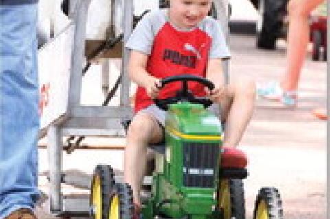 Article Image Alt Text