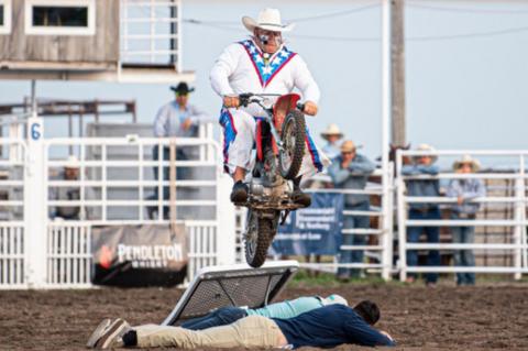 Article Image Alt Text