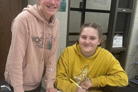 Article Image Alt Text