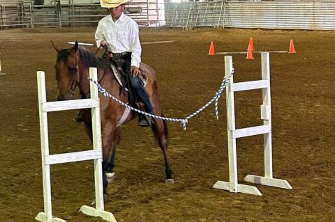 CHARLES MIX COUNTY 4-H HORSE SHOW