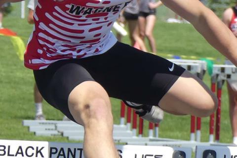 Article Image Alt Text