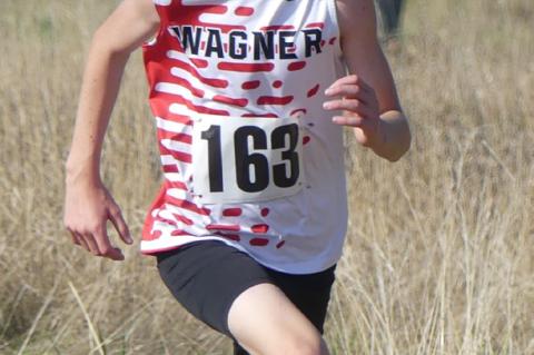 Article Image Alt Text