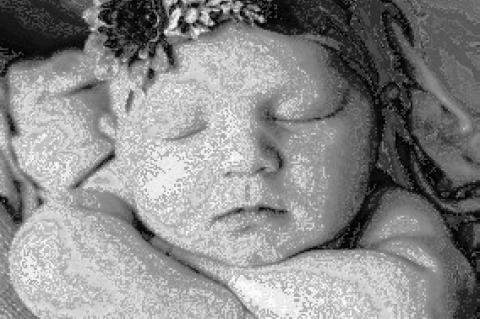 Article Image Alt Text