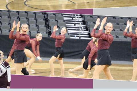 Article Image Alt Text