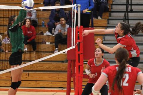 Article Image Alt Text