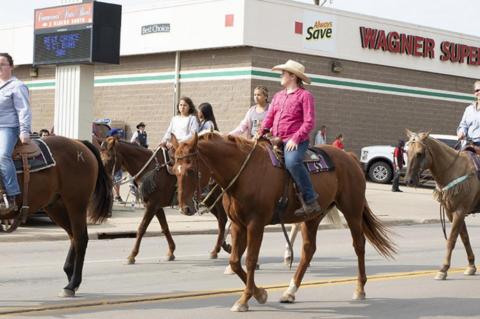 Article Image Alt Text