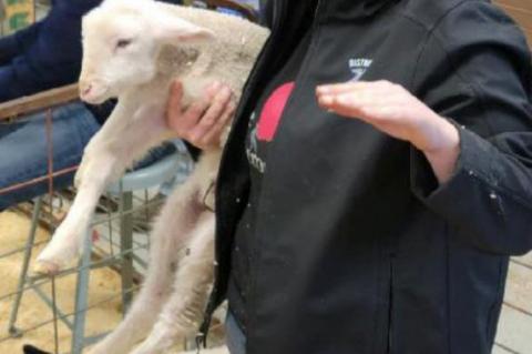 ANDES CENTRAL CELEBRATES FFA WEEK