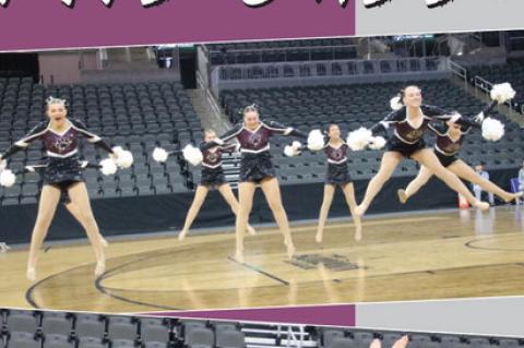 Article Image Alt Text